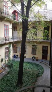 un albero di fronte a un edificio con foglie per terra di AIRAM Apartment CENTER BUDAPEST a Budapest