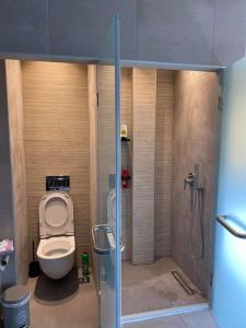 a bathroom with a toilet and a shower stall at Modern studio apartment A in Athens