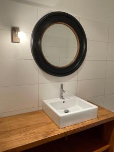 uma casa de banho com um lavatório e um espelho em Le Show Room em Auxerre