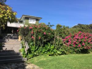 奧克蘭的住宿－卡懷伊普拉普拉瑜伽中心度假酒店，台阶上带粉红色花的房屋