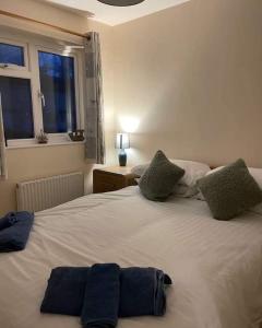 a bedroom with a large white bed with two pillows at Rosemoor view. in Great Torrington