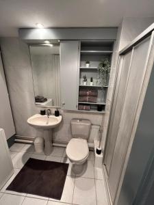 La petite salle de bains est pourvue de toilettes et d'un lavabo. dans l'établissement ZEN-ITUDE, à Strasbourg