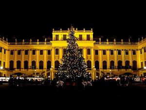 ein Weihnachtsbaum vor einem Gebäude in der Nacht in der Unterkunft Nice apartment between Schönbrunn and Karlsplatz in Wien