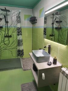 a green bathroom with a sink and a mirror at Casa Doina in Râşnov
