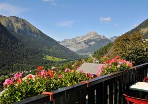 ホテルから撮影された、または一般的な山の景色