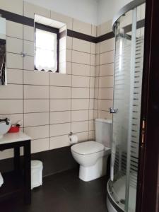 a bathroom with a toilet and a sink at Adrasteia Guesthouse in Negades