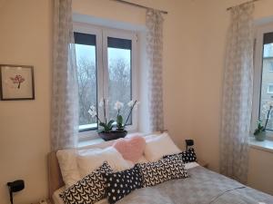 een slaapkamer met een bed met kussens en een raam bij Rosé Apartment in Pécs