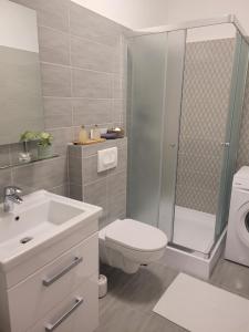 een badkamer met een douche, een toilet en een wastafel bij Rosé Apartment in Pécs
