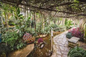 un jardín con muchas plantas y una pasarela en Hotel Pousada Vovô Zinho en Guaçuí