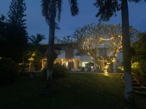 Casa de las Flores tropical外面的花园