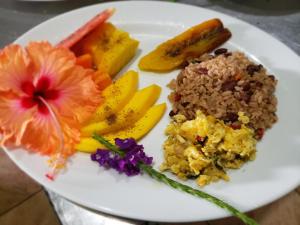 a plate of food with rice and fruit on a table at Wildlife Lodge Cahuita in Cahuita