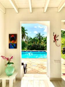 Casa de las Flores tropical内部或周边的泳池