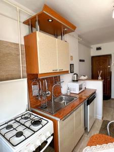 A kitchen or kitchenette at [NEW] Apartment 15 minutes from the ski slopes