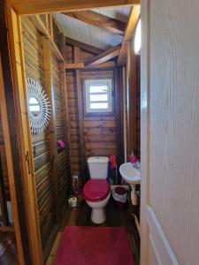 La petite salle de bains est pourvue de toilettes et d'un lavabo. dans l'établissement Le Cosy Bungalow de Lili / 5min de l'aéroport, à Les Abymes