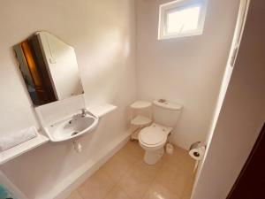 een badkamer met een toilet, een wastafel en een spiegel bij El Paraiso in La Gaulette