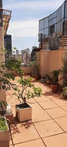 un árbol en maceta sentado en la parte superior de un edificio en Terraza en lo Alto en Buenos Aires