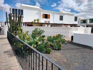 a fence with plants in front of a house at Apartment Luz De Faro in Playa Honda