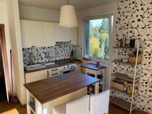 Kuchyňa alebo kuchynka v ubytovaní Family apartman