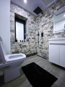a bathroom with a white toilet and a stone wall at Villa Virginia in Broşteni