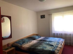 Near ski slopes 2 bedrooms apartment with balcony في ساس في: غرفة نوم بسرير ومرآة ونافذة