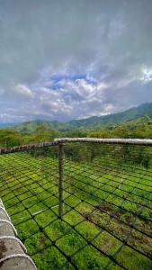 a fence in a field with mountains in the background at Finca Ecoparaiso in Ibagué