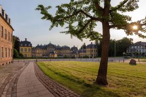 a tree in the middle of a park with buildings at Apartment 54 - Ferienwohnung Bad Arolsen in Bad Arolsen