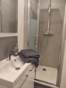 y baño con lavabo y ducha. en Le Champêtre en Nancy
