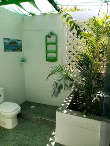 a bathroom with a toilet and a plant at LAS HAMACAS, 2 minutes from the old town, we speak english!! in Cartagena de Indias