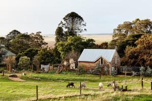 a group of animals grazing in a field next to a barn at Tarndwarncoort Homestead in Warncoort