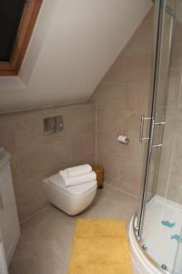 a small bathroom with a toilet and a shower at Luxury 4 bed house in Swindon in Swindon