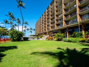 Κήπος έξω από το Top Floor Oceanfront location with great swimming and snorkeling MKM809