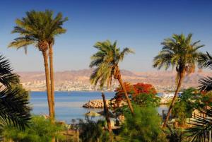 a view of a beach with palm trees and the water at La Riva Hotel in Aqaba