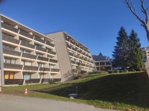 een groot appartementencomplex met een groen gazon ervoor bij Ferienapartment "Alois" in Sankt Englmar in Sankt Englmar
