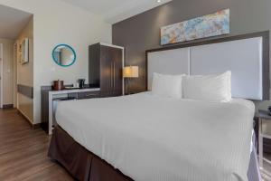 Best Western Plus Brooklyn Bay Hotel, Brooklyn (updated prices 2025)