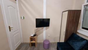 a living room with a couch and a tv on the wall at Little Sony Apartment in Novi Sad