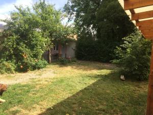 un cortile con due alberi e una casa di Sabrosur Departamentos a El Bolsón