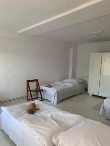 um quarto com duas camas e uma cadeira em Rusiborek Slow em Murzynowo Kościelne