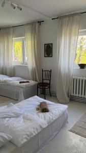 a bedroom with two beds with a stuffed animal on them at Rusiborek Slow in Murzynowo Kościelne