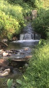 un ruisseau avec une cascade au milieu d'une forêt dans l'établissement Creek Cottage Chaeson, à Ban Mun Thung