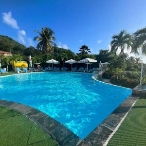 uma grande piscina azul com palmeiras ao fundo em Studio La «KAZ’ À COCO» Anse Caritan em Sainte-Anne