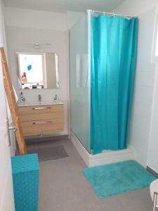 ein Badezimmer mit einer Dusche mit einem blauen Duschvorhang in der Unterkunft Mangrov in Le Moule