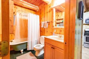 a bathroom with a toilet and a sink and a tub at Hygge Up North Cabin in Traverse City