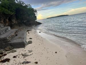Foto dalla galleria di Scott Camotes Beach House a San Francisco