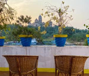 a group of potted plants sitting on a ledge at Comfort and Cozy in Orchha