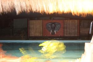 an elephant picture on the side of a swimming pool at Kurrimine -beach bum retreat in Kurrimine Beach