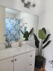 La salle de bains est pourvue d'un lavabo, d'un miroir et d'une plante. dans l'établissement Villas Del Mar Beach Resort, à Loiza