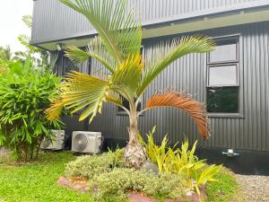 een palmboom in een tuin voor een huis bij Concordias Country Resort- Villa Johanna in Lila