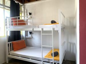 a bunk bed room with two bunk beds at Sleep Sheep Phuket Hostel SHA in Phuket Town