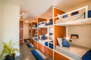Ce dortoir comprend des lits superposés. dans l'établissement Shalom Backpackers Anjuna Goa, à Anjuna