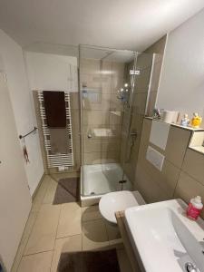 a bathroom with a shower and a toilet and a sink at A Home away from Home in Ravensburg